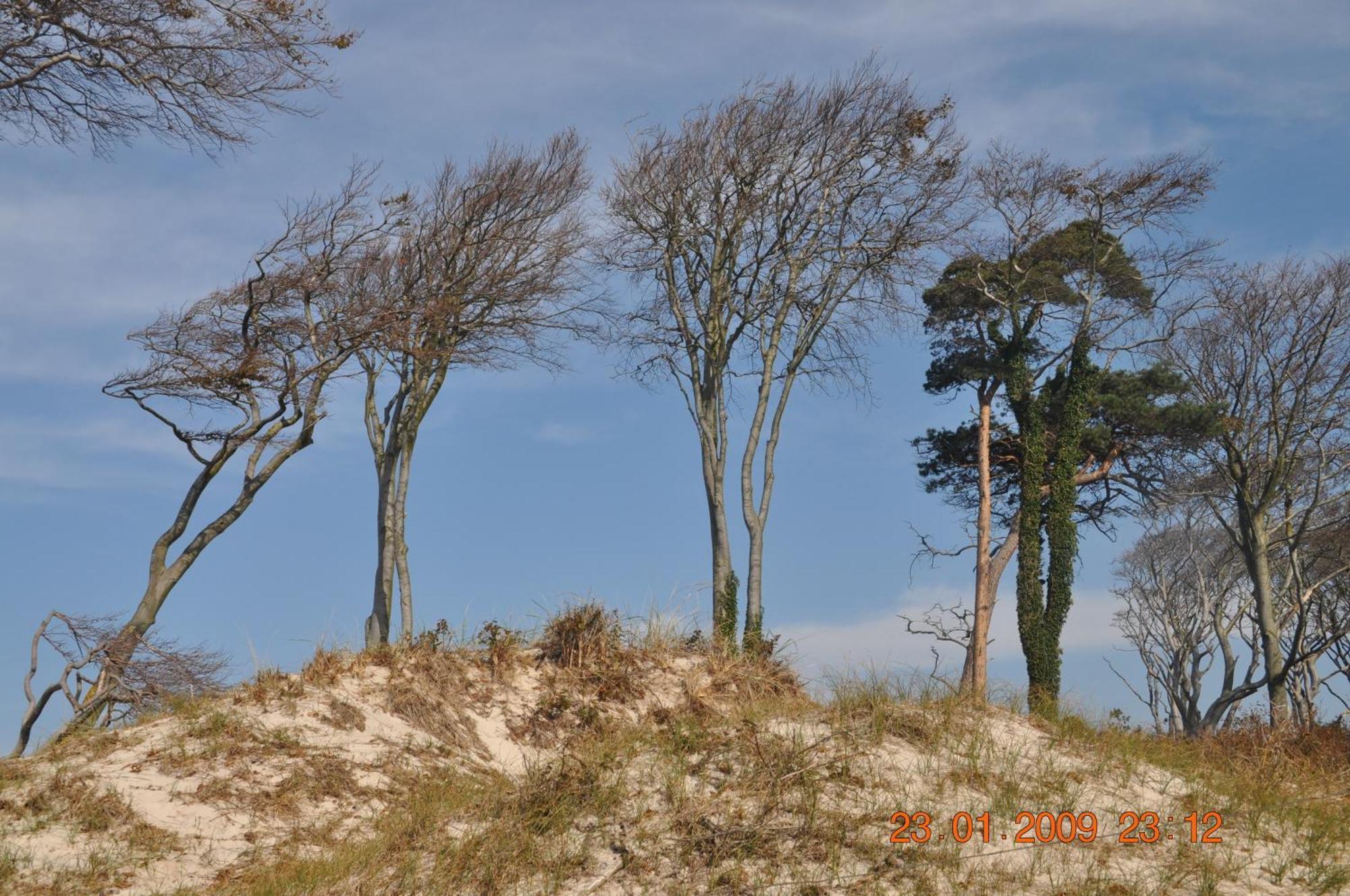 "Dierhagen" Prerow Exteriér fotografie